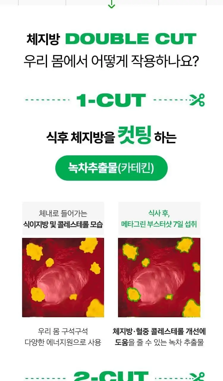 [다이어트 부스터] 바이탈뷰티 메타그린 부스터샷 7개입 상세페이지 13